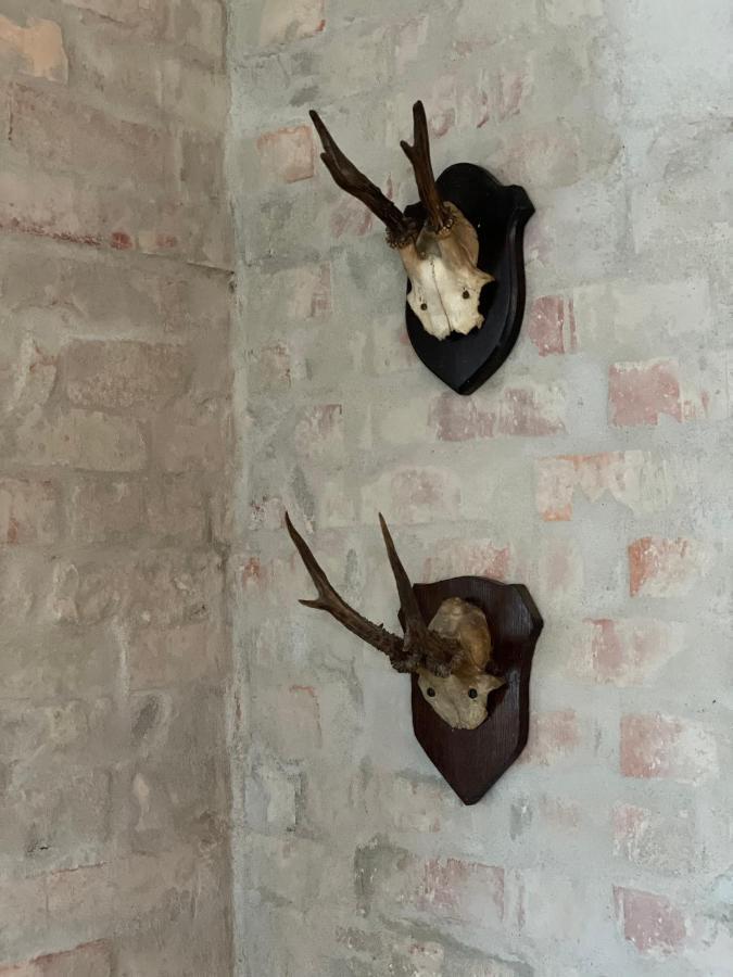 Feriehus I Skon Natur Stenstrup エクステリア 写真