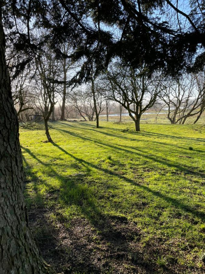Feriehus I Skon Natur Stenstrup エクステリア 写真