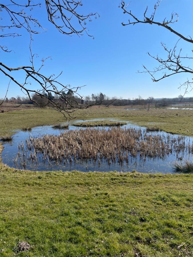 Feriehus I Skon Natur Stenstrup エクステリア 写真